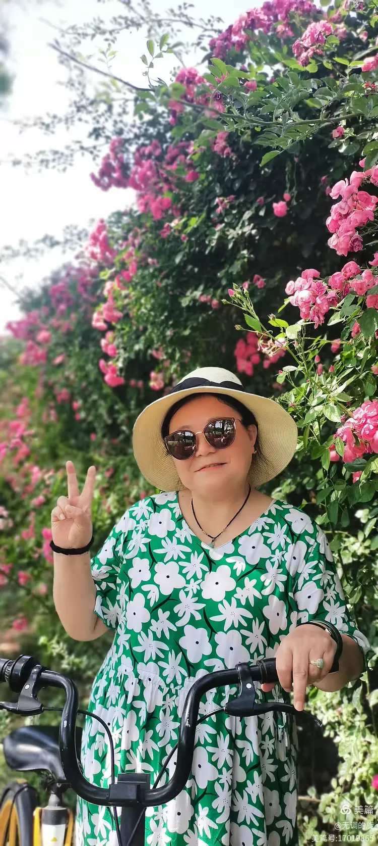 5月王曲蔷薇花花海拍照,老年大学演唱留念